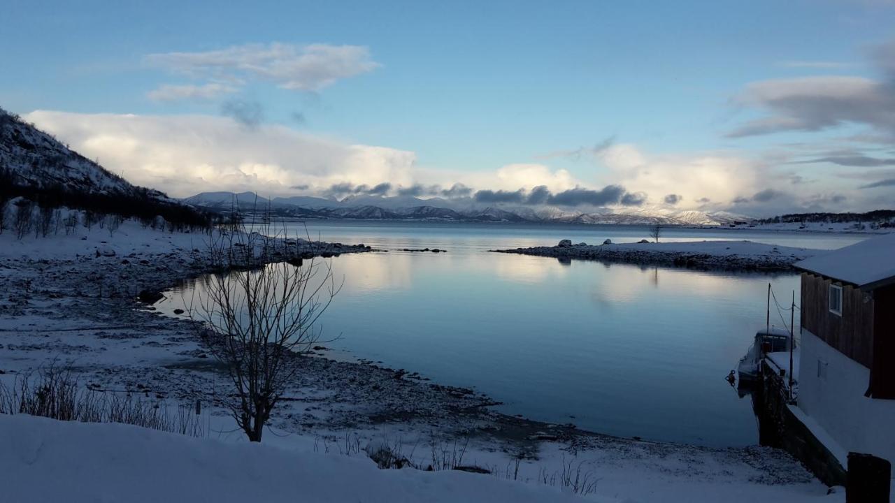 Prima Lofoten Myrland 외부 사진